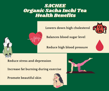 Load image into Gallery viewer, 【Trial Pack】Sachee Sacha Inchi Oil and Tea