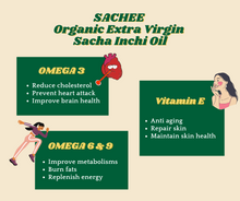 将图片加载到图库查看器，【Value Pack】Sachee Sacha Inchi Oil 100ml x3packs
